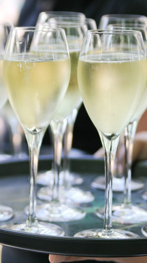 Bei unseren Planwagentouren eröffnen wir die Fahrt mit einem Sektempfang.